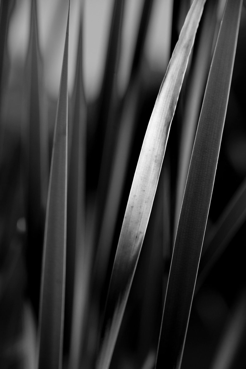 DMartinezImages's tweet image. Applied for my first job. 
Already rejected 
40 years of photography experience isn’t going to mean much without a degree. 
How am I supposed to work and support myself without a degree? 
I have to sell my work. Period. 
Because getting hired is going to be harder. 
#jobhunting…