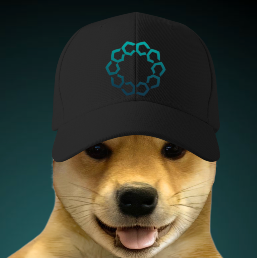 dogwifcoin tweet media
