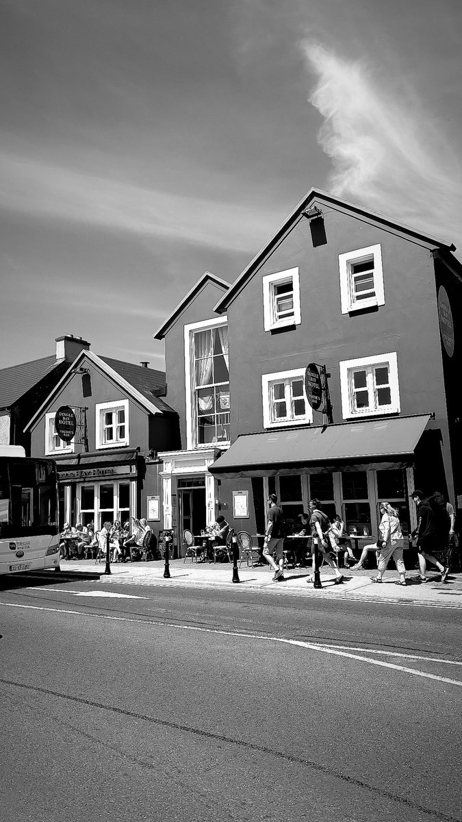 🎶Live Music 🎶 #Dingle