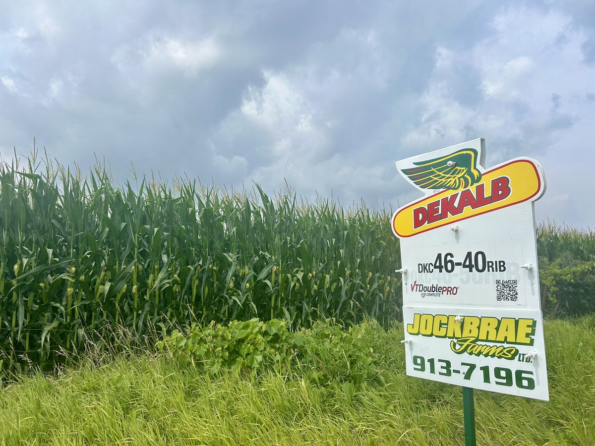 Hey clouds! Bring us some rain please!