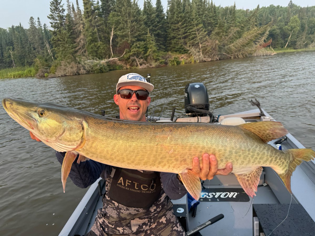 The Mustang is crushing in Canada!!