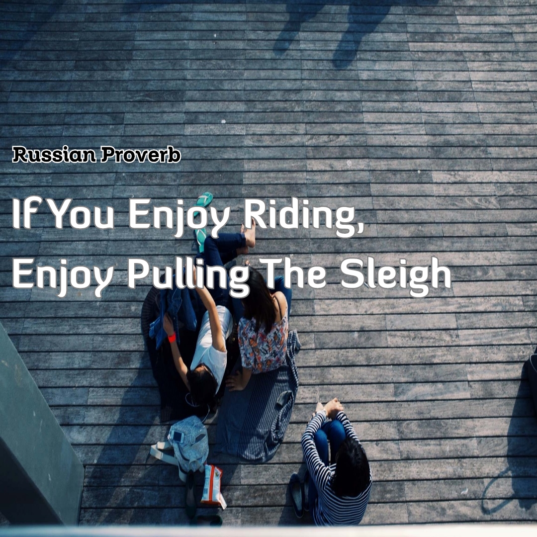 ClicktobuyStore's tweet image. LINK IN Below

linktr.ee/Clicktobuyonli…

cat-design-gifts-shop.myspreadshop.com

#CatTshirt #CatApparel #CatMerch #FelineFashion #MeowTee #CatLoverShirt #KittyTee #PurrfectShirt #CatFashion #CatTeeStyle #CatTShirtsForWomen