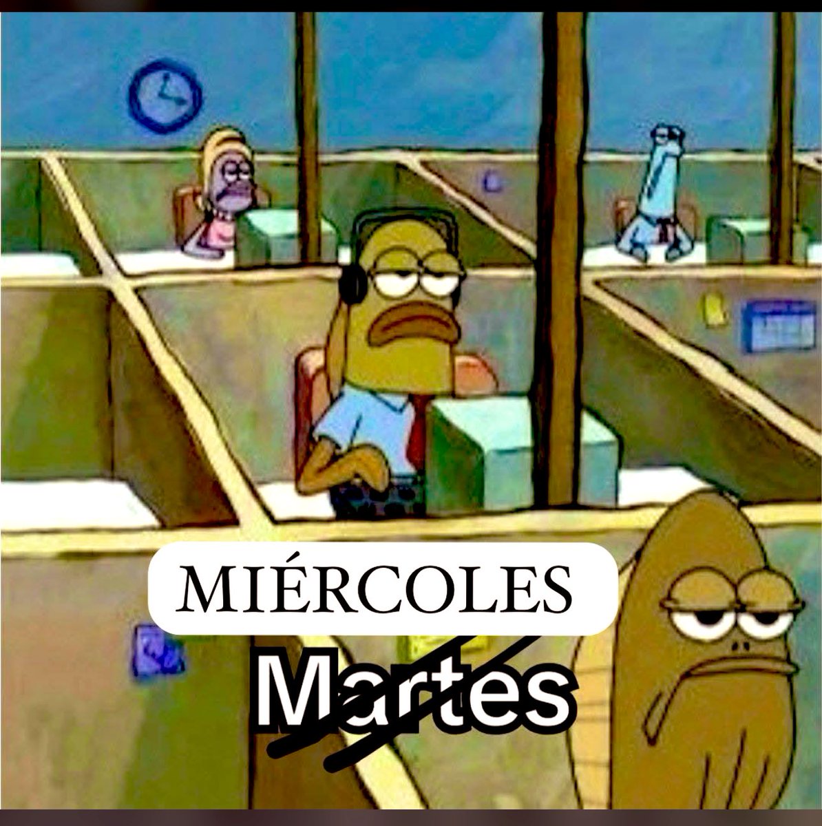 Chale…
💤 💤 💤