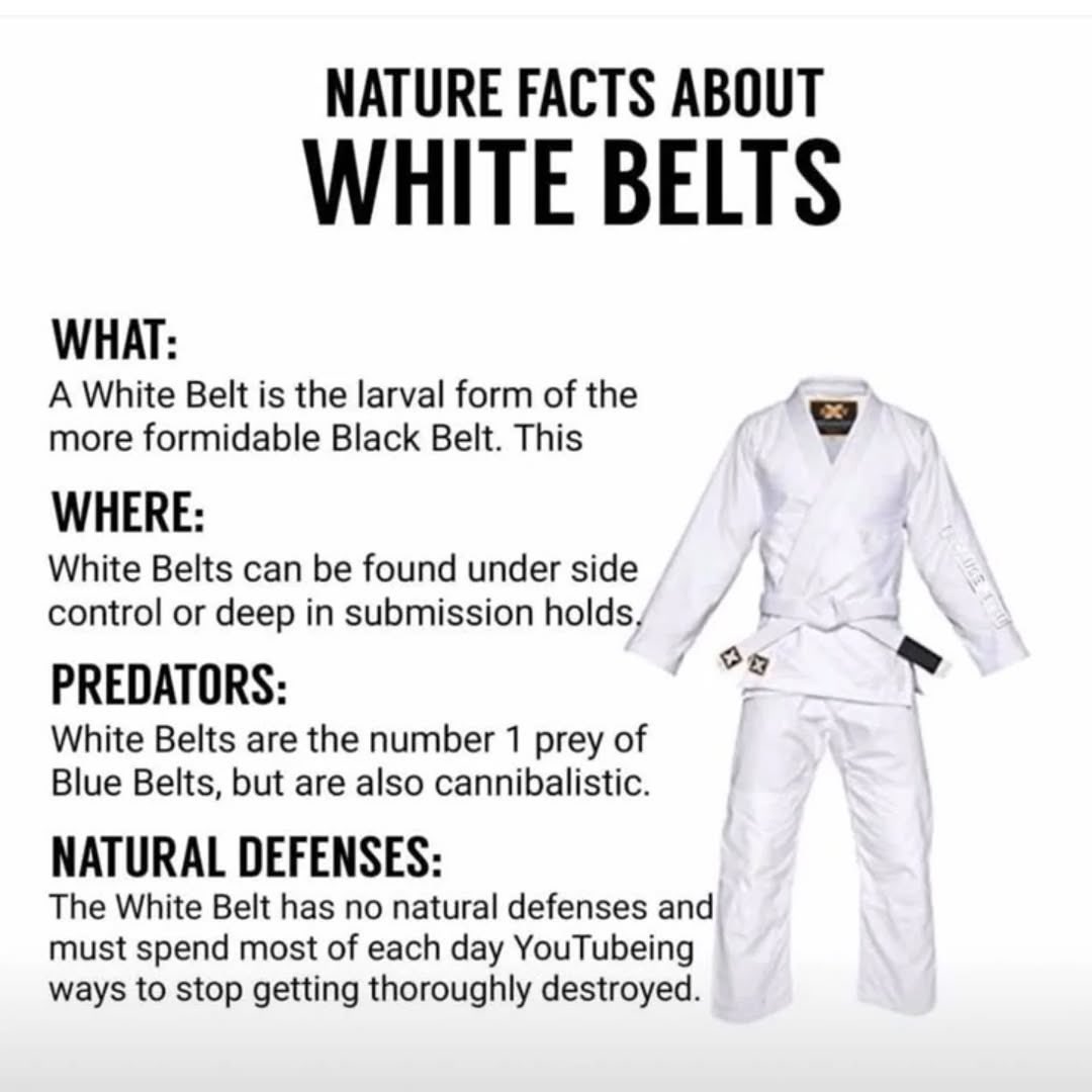 BJJotter tweet media