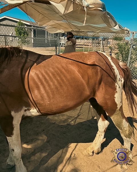 Maricopa County Sheriff's Office (@mcsoaz) on Twitter photo 