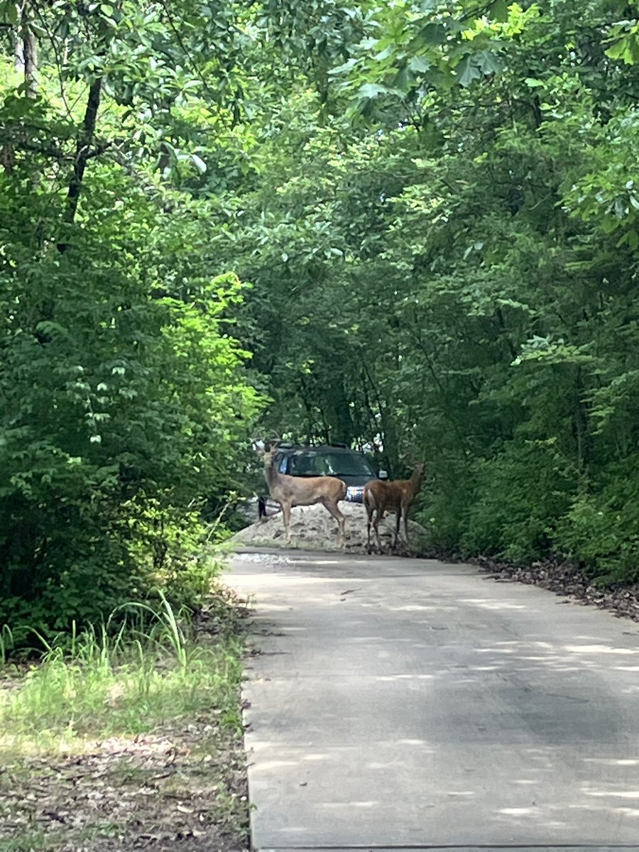 Jon -Commissions Closed- tweet media