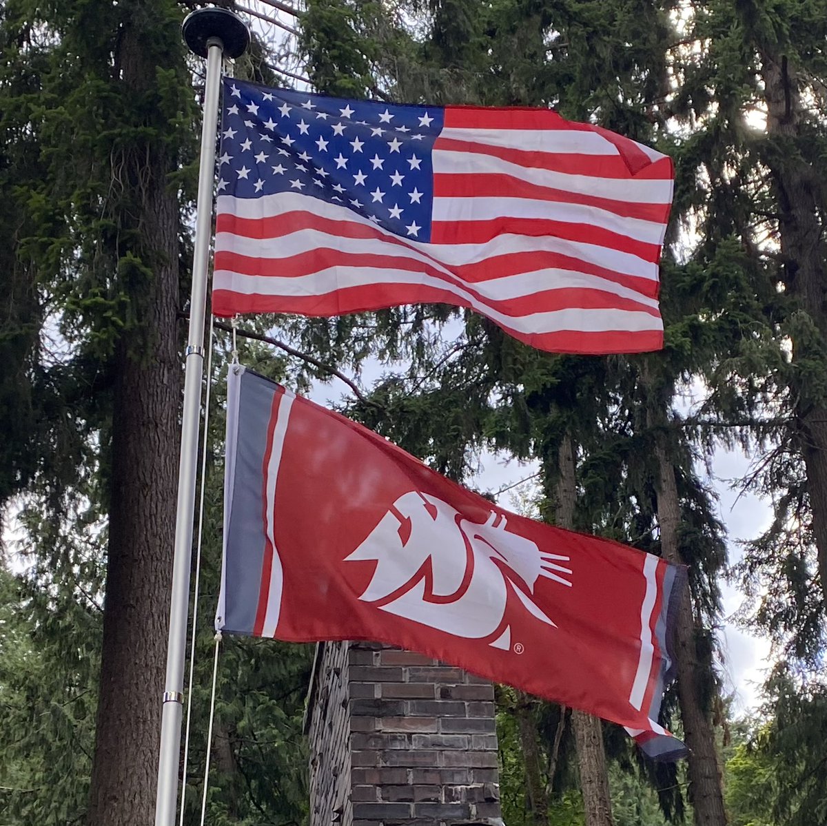 joanne_m_h's tweet image. #MadeofCrimson #GoCougs