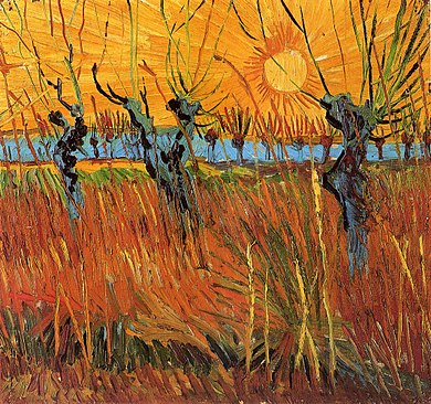 Willows at Sunset, 1888
Vincent Van Gogh.