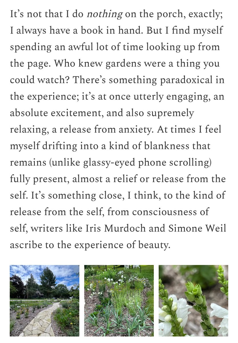 I wrote about gardens (which also meant writing about writing), &amp; how they can provide relief from the self. With assists from Iris Murdoch, Simone Weil, &amp; Andrew Marvell. Free post; no paywall. Link in profile.