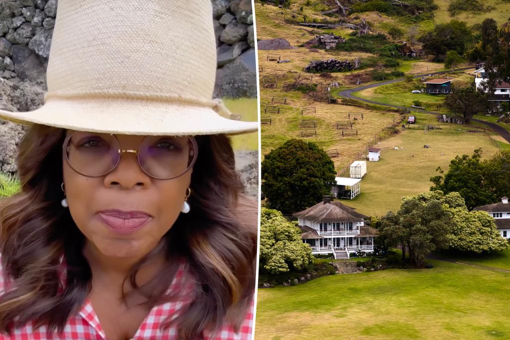 Oprah Winfrey accused of closing her private Hawaii road during Tsunami evacuation trib.al/WgLDSxG