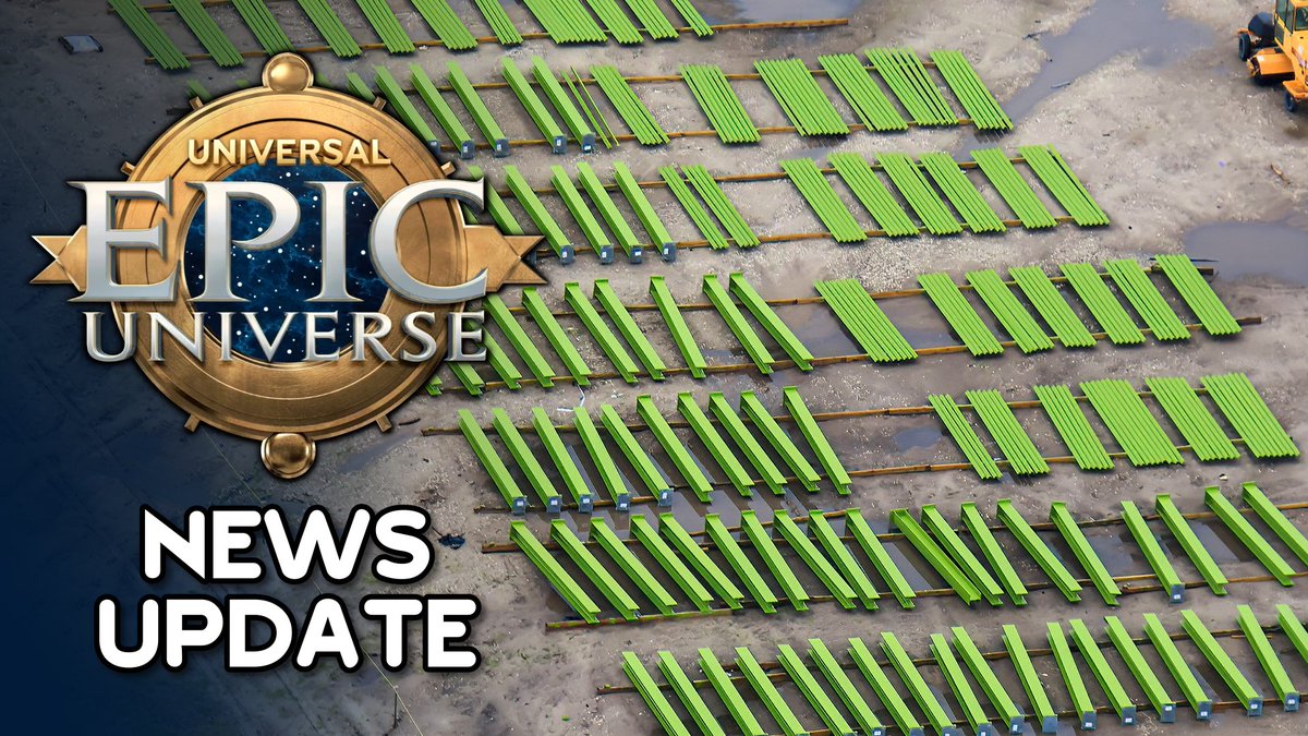 Alicia Stella tweet media