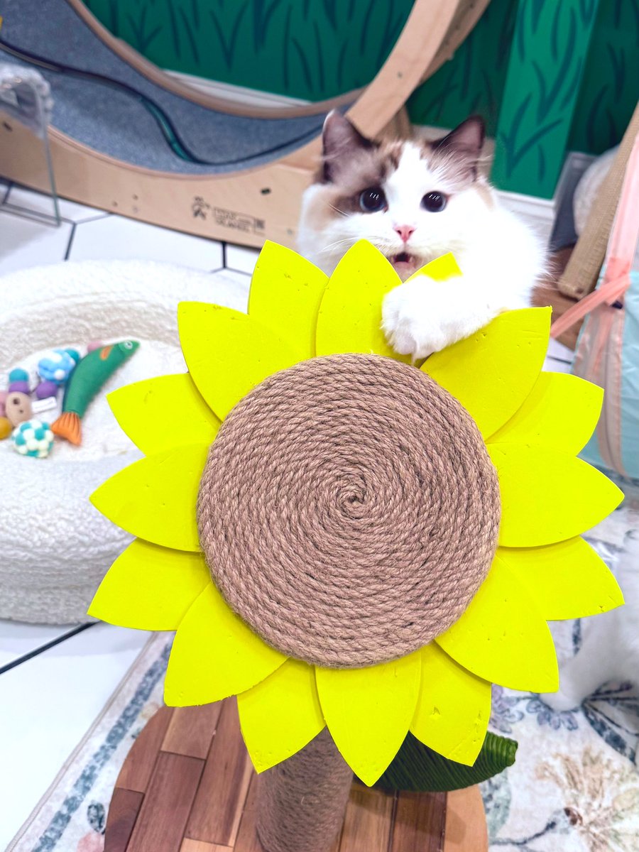 Say hello to Sabrinksi 😊