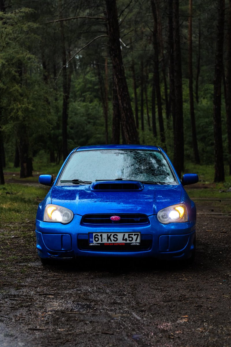 When rain meets blue.