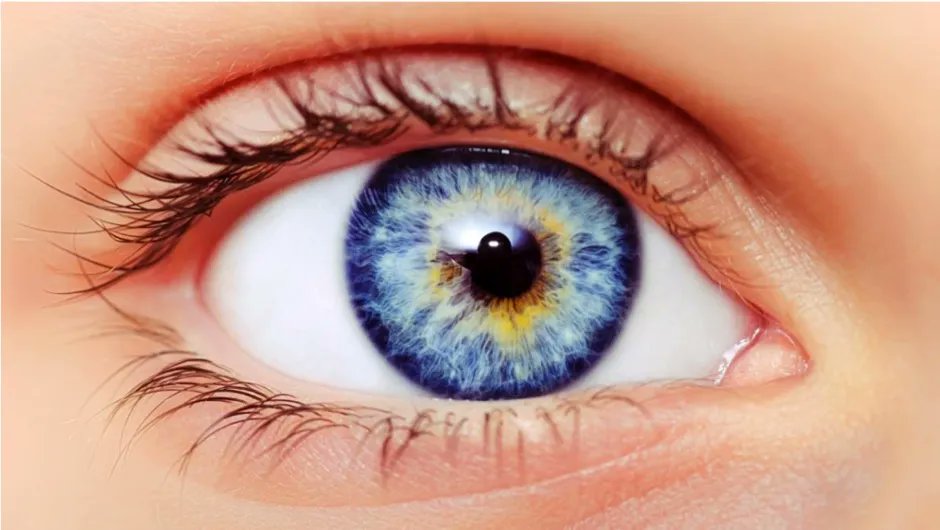 Be proud of who you are, and not ashamed of how someone else sees you.