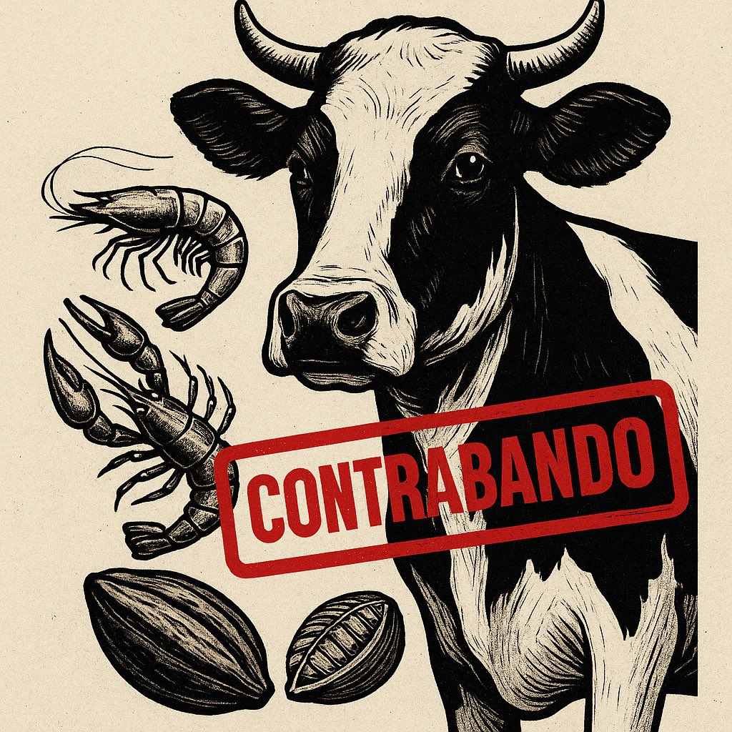 Leí recientemente a <a href="/yoanisanchez/">Yoani Sánchez 🇨🇺</a> de los recuerdos del olor del cacao tostado y convertido en chocolate.

Lo relacionó de inmediato con las persecuciones vs quienes intentaban llevarlo a otras zonas de la isla de Cuba.

¿Por qué en Cuba es delito transportar carne de res,