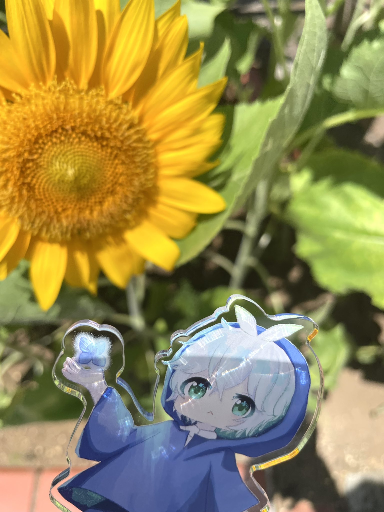 えみ様オーダー分＊ひまわりとしずくのパネル 花束アリス🌷🏰 on X: 