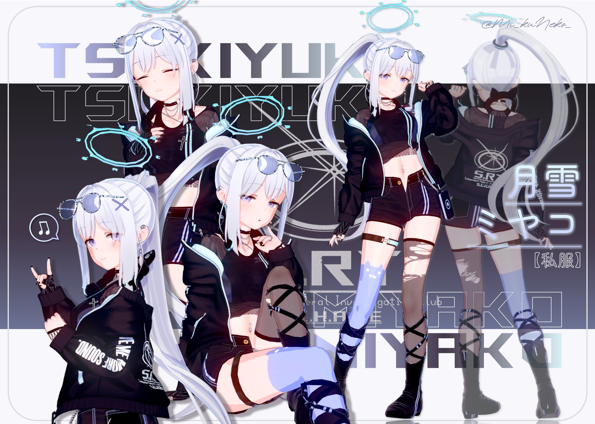 ねここねこ　初音ミクセット Amazon | セガ 初音ミク Project DIVA Arcade Future Tone