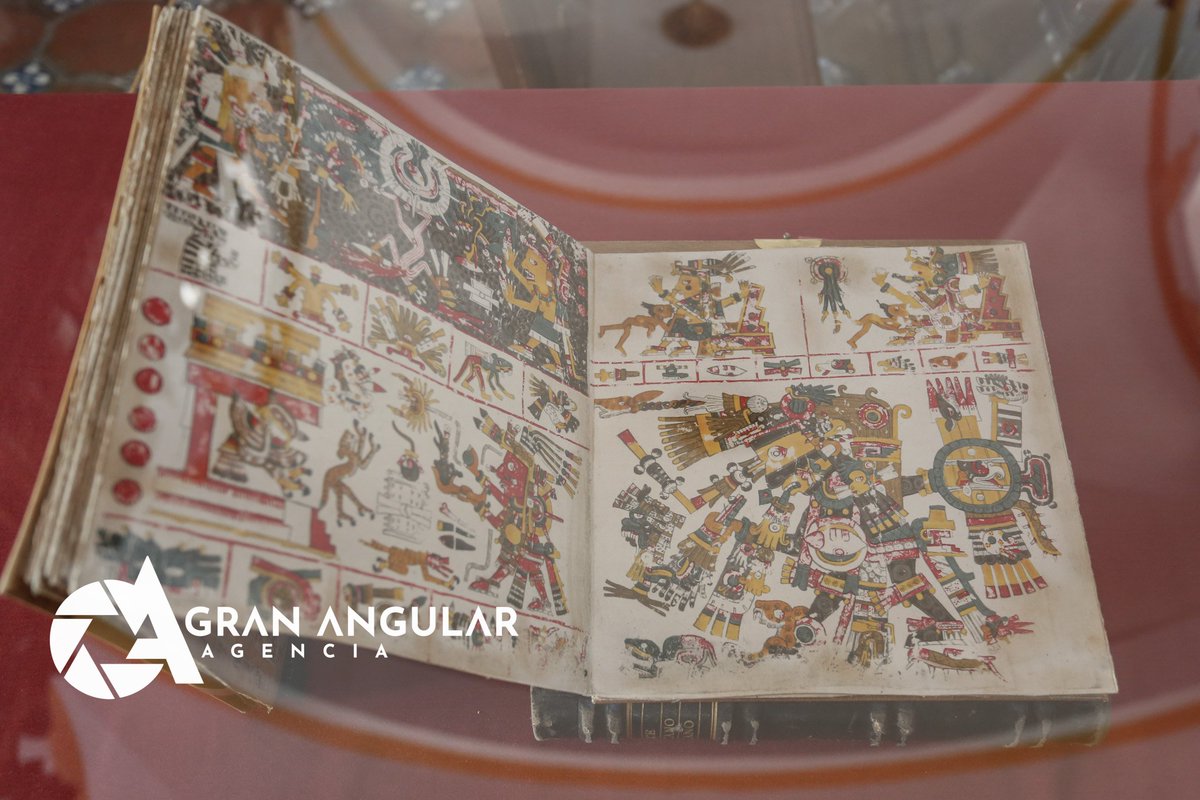 📖🏛️😁 #Ahora •• Conoce la #bibliotecaPalafoxiana fundada en 1646 por el Obispo de Puebla Juan de Palafox y Mendoza la cual durante su fundación contaba con apenas 40 volumenes un número muy bajo en comparación a los mas de 45 mil que alberga hoy en dia
Via @Cristopherdamian