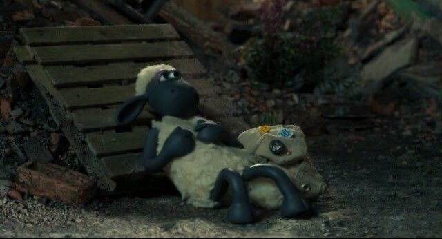 السدحه اللي تسدحها وانت تفكر بمستقبلك وحياتك