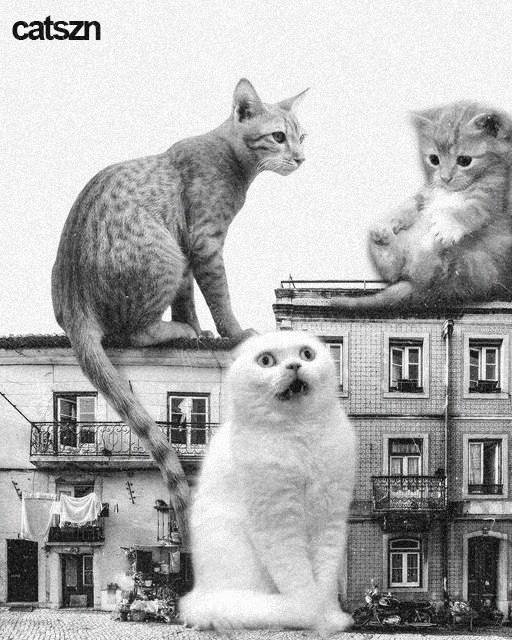 $CATSZN is the OG ticker and you will never forget where all your favorite cats come together- Join the Catbal

3fmpxW4ieK4CSuWwJuC7CiBPeiaT5dJCGGLiAVZbh9DJ