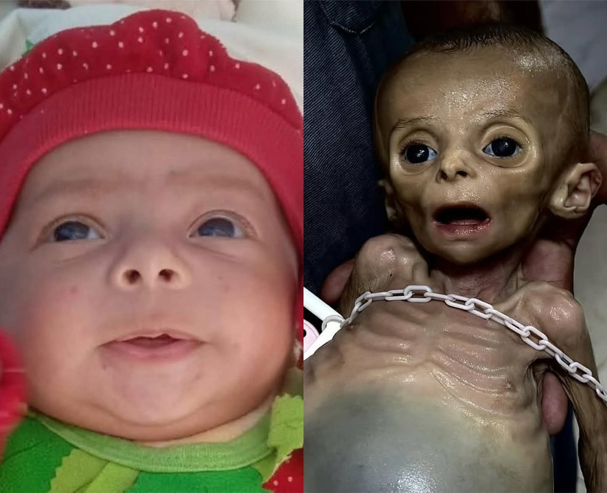 اطفــال غزة ...كل يوم طيور ترحل
لغير الله لا نشكو ، ولا نلجأ ، ولا نرجو ...