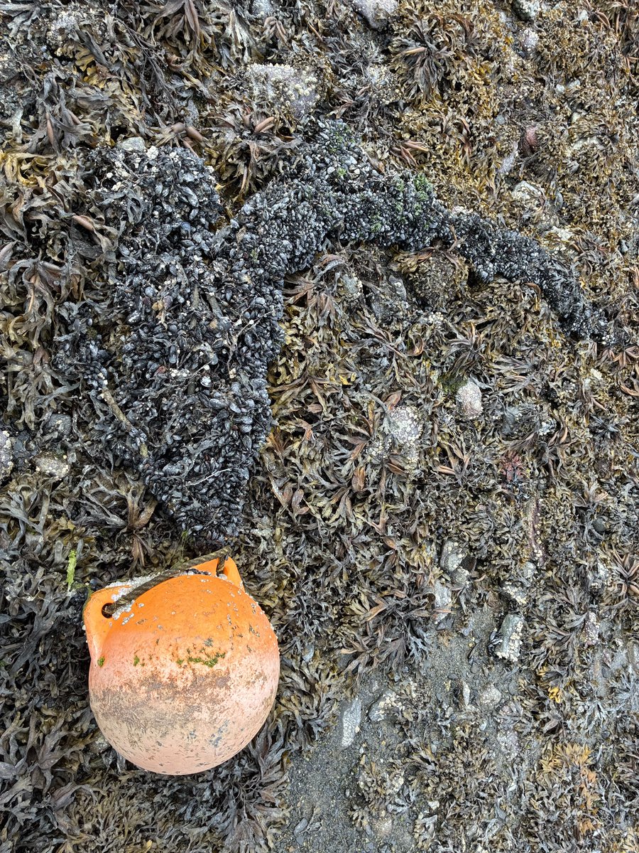 Wildlife sightings during my walk today.
#Juneau #Alaska #wildlifephotography