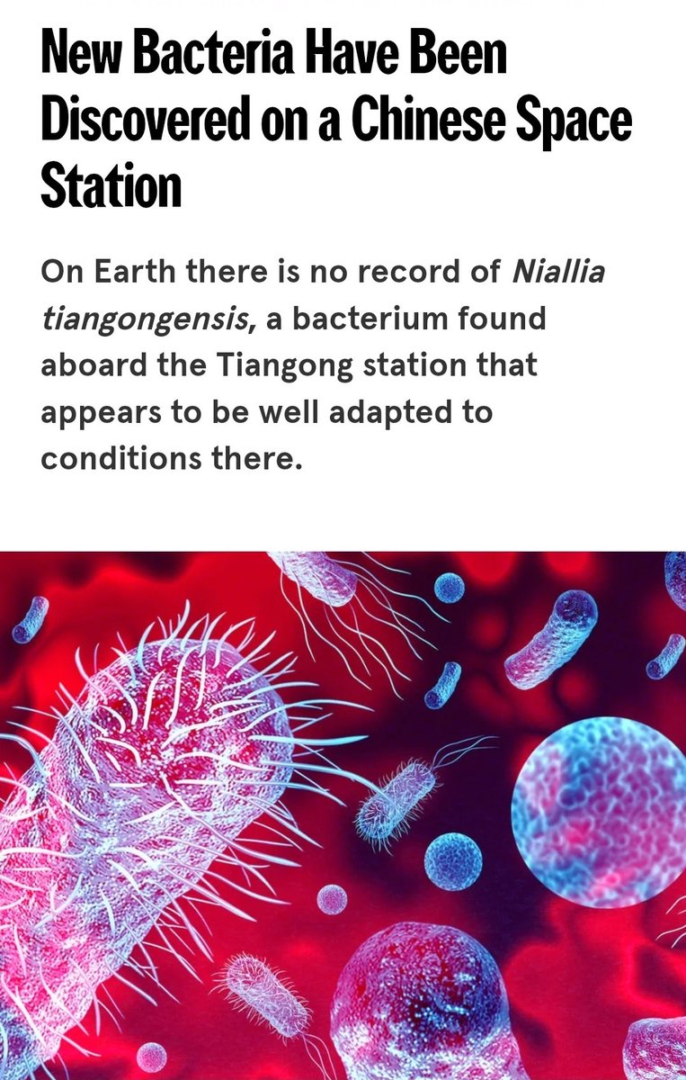 So. What do we think of this?