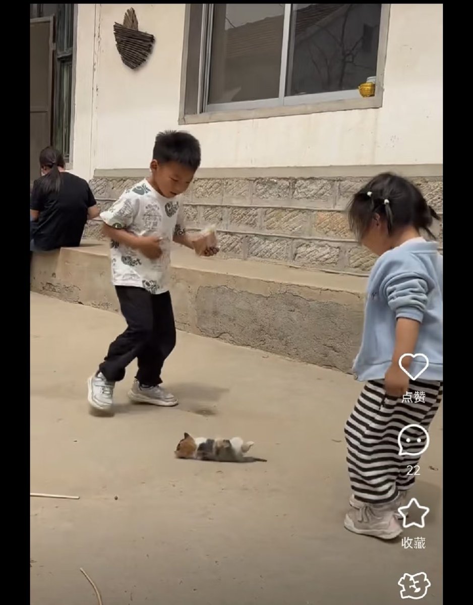 Two children are taking turns dropping a kitten onto the ground as if it were a game.
Hey, you two.
This kitten is about the same age as you.
Hey, you two.
How would you feel if someone dropped you from a tall building over and over again?
Hey, you two.
Even if you were born in