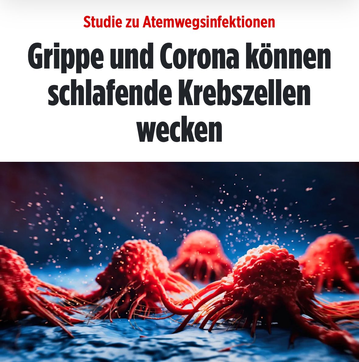 „Schlafende Krebszellen können durch Grippe- und Coronaviren wieder aktiviert werden – das zeigt eine aktuelle Untersuchung aus den USA, die heute Nachmittag (30. Juli) im Fachmagazin „Nature“ veröffentlicht wurde. 
„Die vorgestellten Erkenntnisse sind innovativ und von