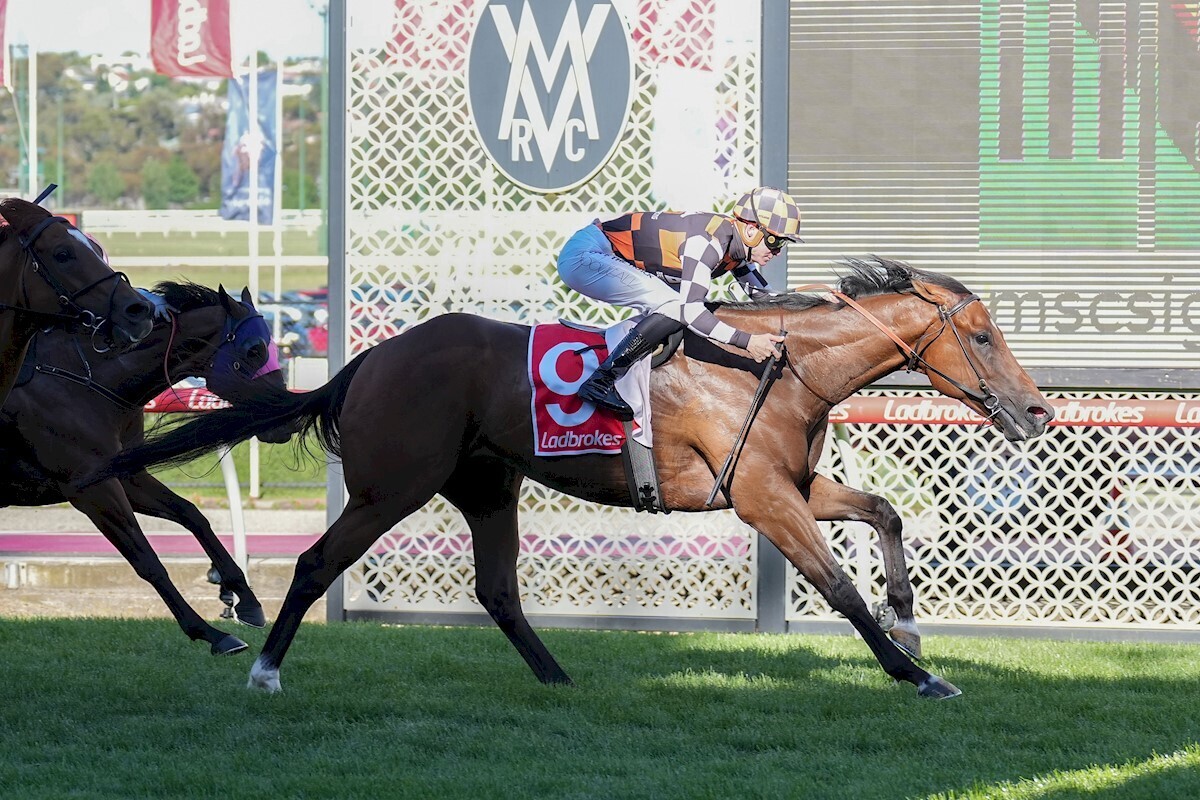 Giddy Up With Gareth Hall (@sengiddyup) on Twitter photo LISTEN | Troy Corstens joined <a href="/PfitznerMiles/">Miles Pfitzner</a> on stable mail to preview some nice weekend runners including Zou Sensation who is flying. <a href="/MaluaRacing/">Malua Racing</a>
cms.megaphone.fm/channel/NTETP9… LISTEN | Troy Corstens joined <a href="/PfitznerMiles/">Miles Pfitzner</a> on stable mail to preview some nice weekend runners including Zou Sensation who is flying. <a href="/MaluaRacing/">Malua Racing</a>
cms.megaphone.fm/channel/NTETP9…