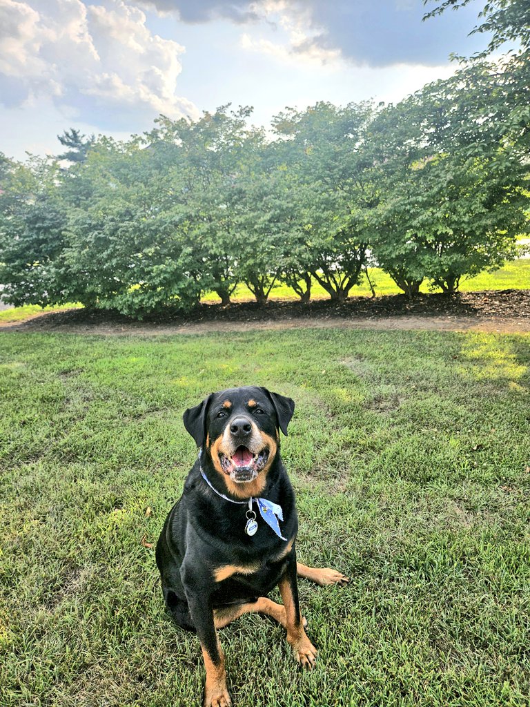 Today is #InternationalFriendshipDay2025! Me and my Mom want to thank all of you for being our friends and always being so supportive of everypaw in the Anipal Community. We loves you all! 🐾🐾🩷