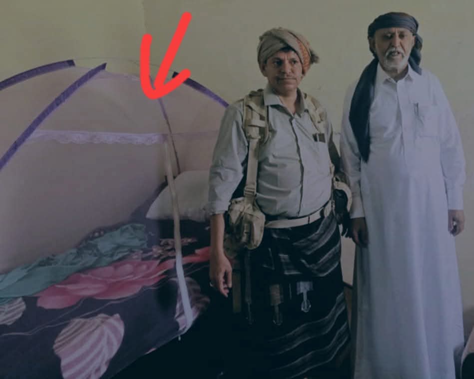 شهر محشحش كما الجرذي🐁 في ذياه الركن.بالسجن
قلت لواحد في امن الغيضة 

عليكم النعنه جبتوا له ناموسيه بالسجن.ع شان ماياكله النامس 

قال لا، انت فهمت غلط الناموسية مش ع شان النامس 

والا ع شان ايش؟

ياخي  ماراحت منه شناصه السمك، هد عليه الذباب تقول نوب جبنا الناموسية من شان الذباب