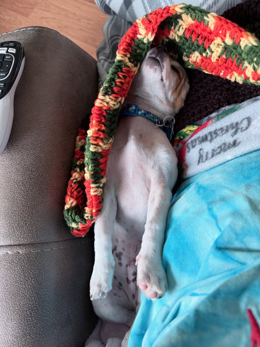 Cinderls (@cinderls) on Twitter photo 