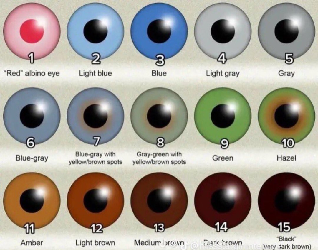 For the fun of the post lol +1 (330) 203-8629