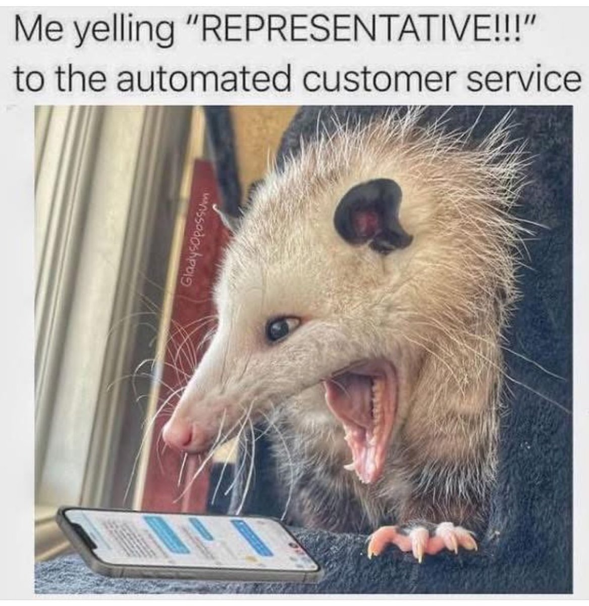 Just let me speak to a real human being. One that speaks English too, damnit!