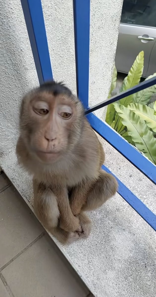 I need a sick day I’m beat