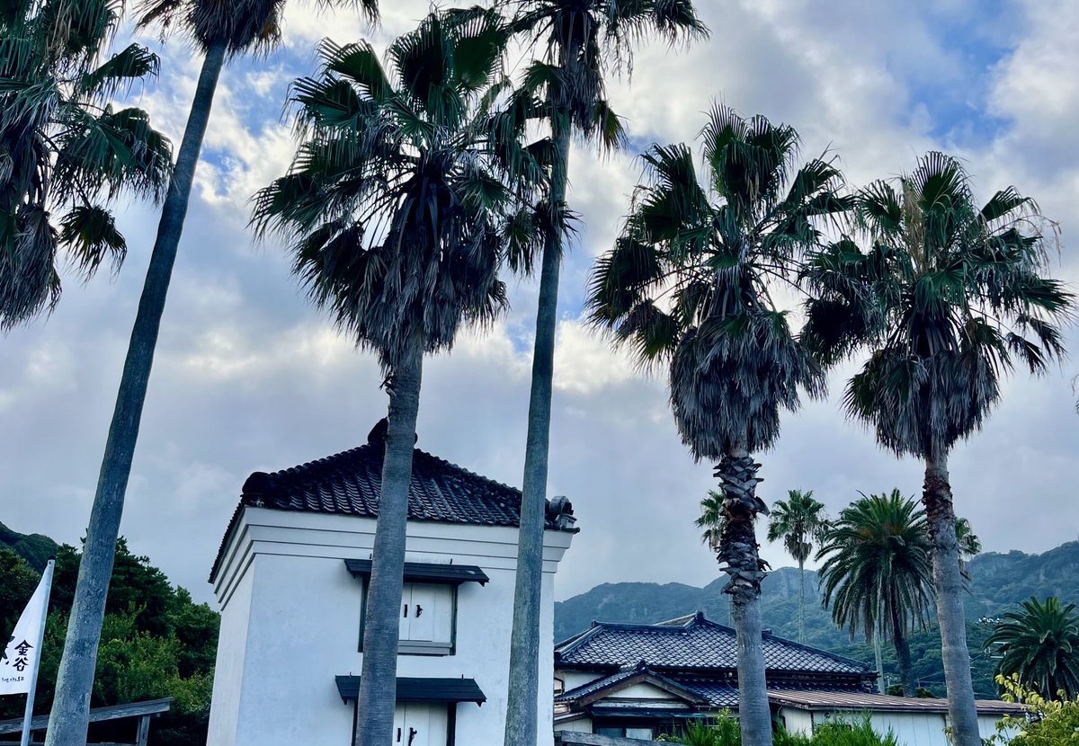 本日7/31(木)鋸山美術館は通常通り
開館いたします。

昨日、津波緊急避難の影響を受けられた
皆さま誠にお疲れ様でした。
ご心配くださいました
皆さま本当に有難うございました。

私たちも迅速な対応が出来たのは
地域の避難訓練のお陰です。

鋸山のふもと
金谷の今朝は穏やかです
感謝✨