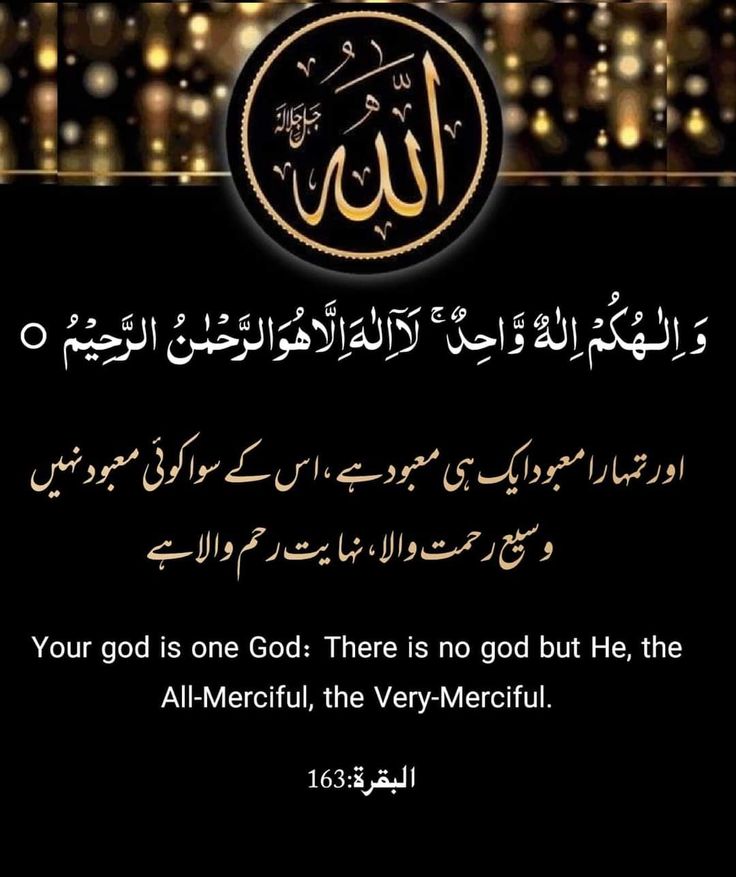 السلام علیکم ورحمۃ اللہ وبرکاتہ ،
اور تمہارا معبود ایک ہی معبود ہے اس کے سوا کوئی معبود نہیں وسیع رحمت والا نہایت رحم والا ہے، بے شک
Good morning my dear friend 🌹💜