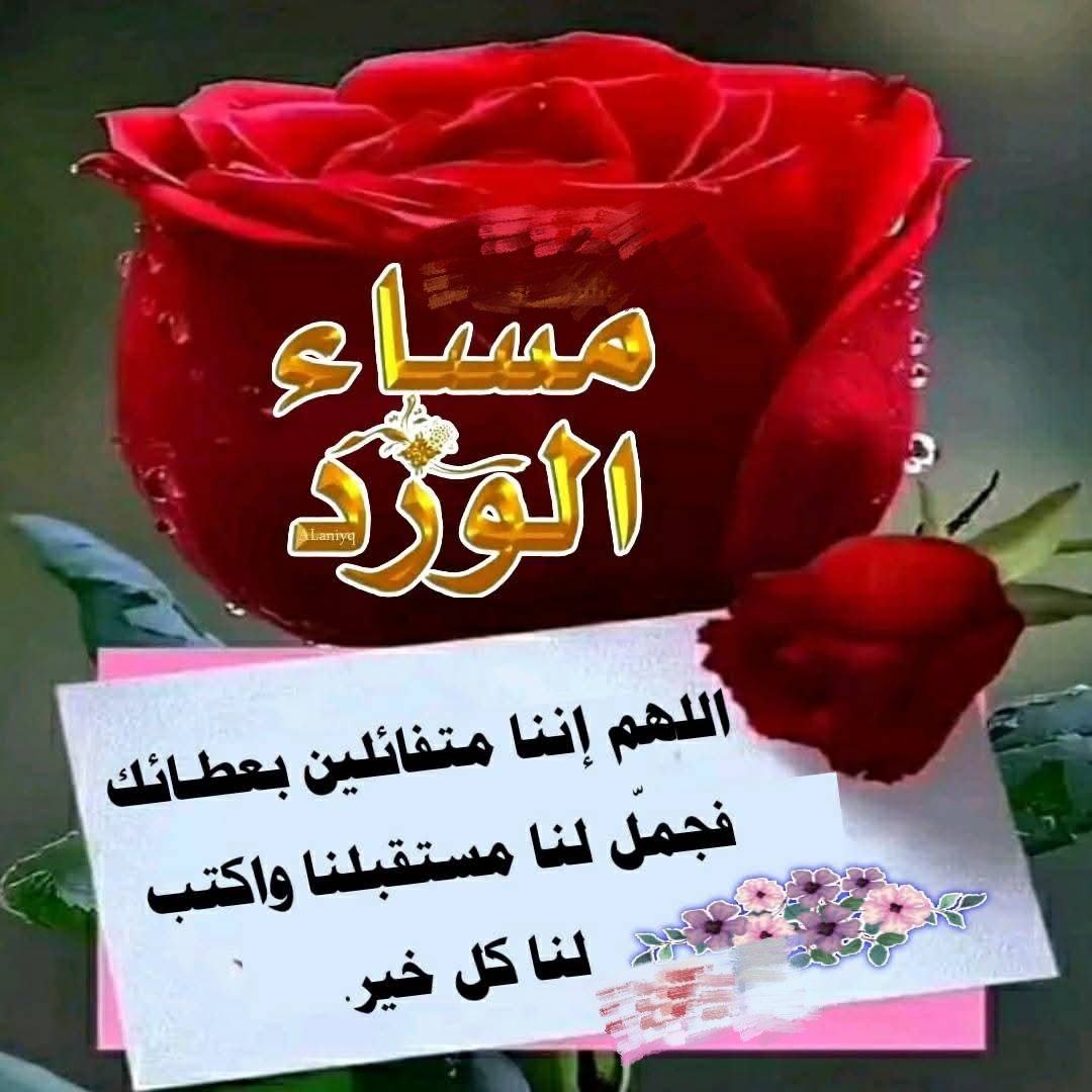 <a href="/nooral5271/">قيثارة الحرف</a> •°•°•°•
مساء الورد