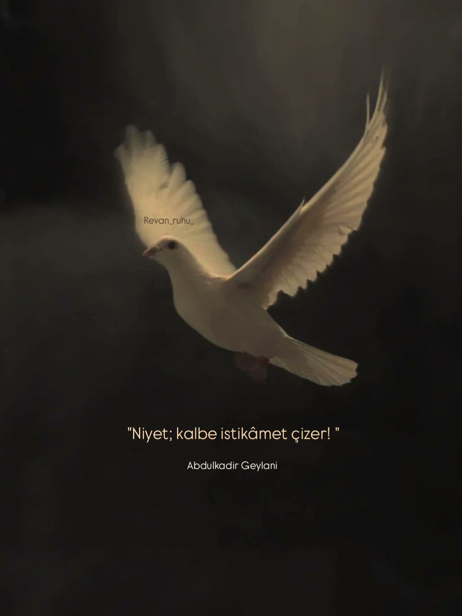 Mavera (@acz_mavera) on Twitter photo 