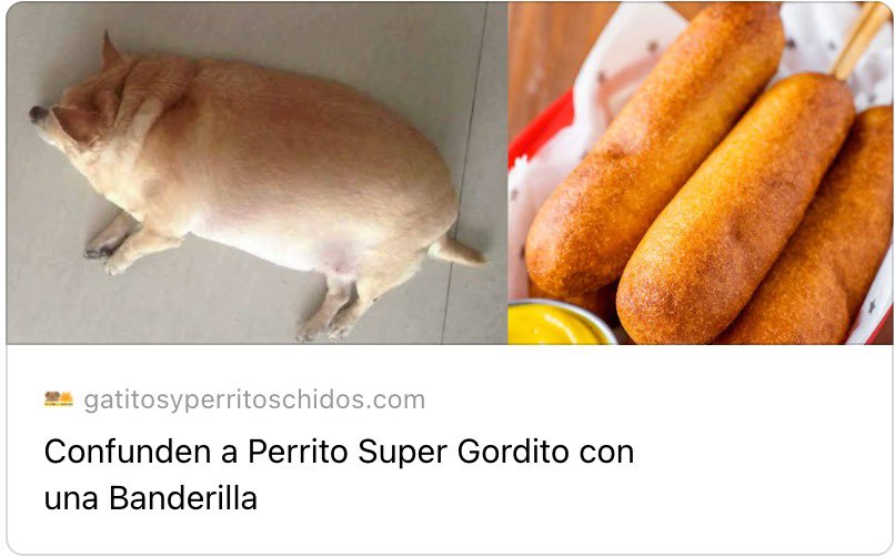 GYPCHIDOS's tweet image. 🚨Breaking News⚠️🌭 gatitosyperritoschidos.com/2025/07/confun…