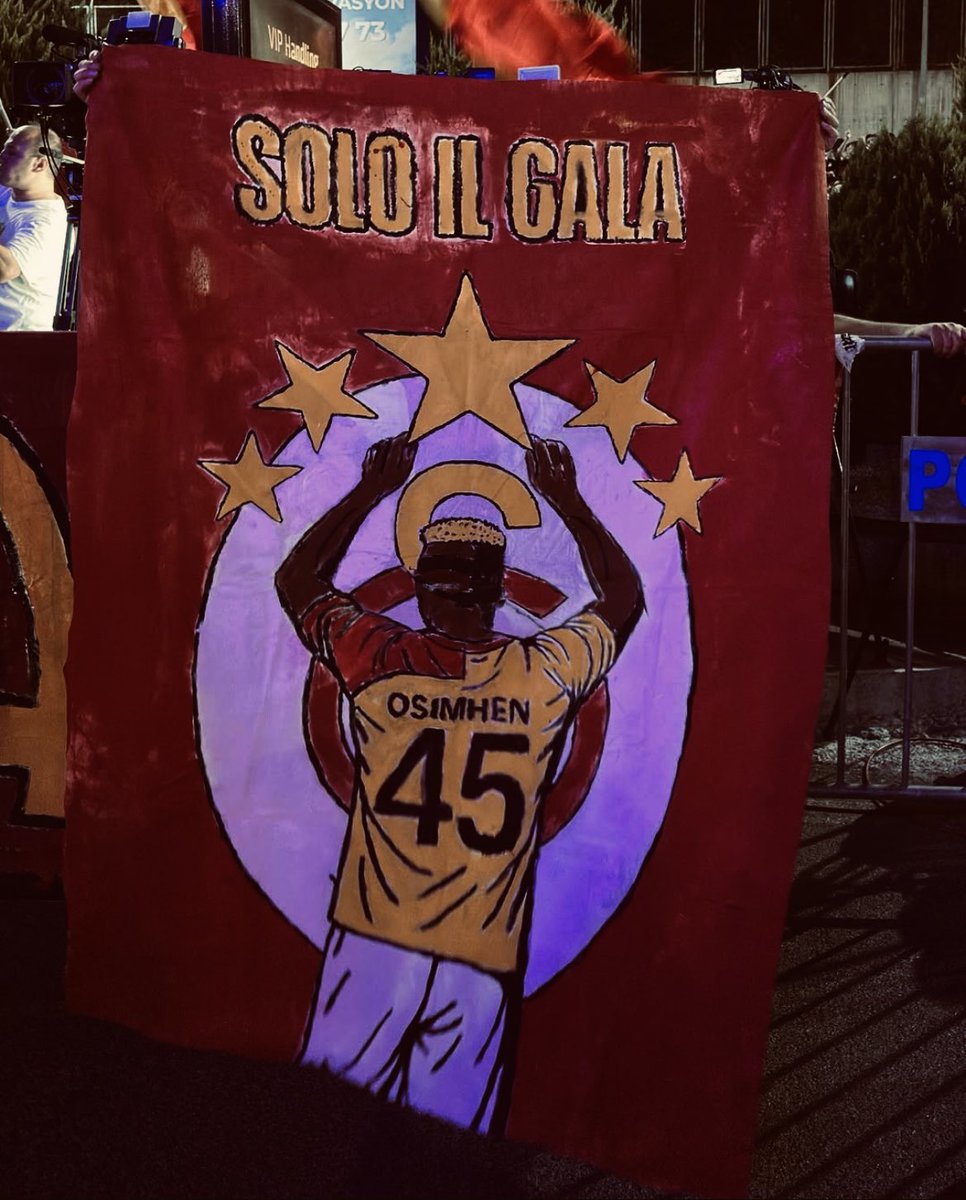 🦁😍 #soloilGala