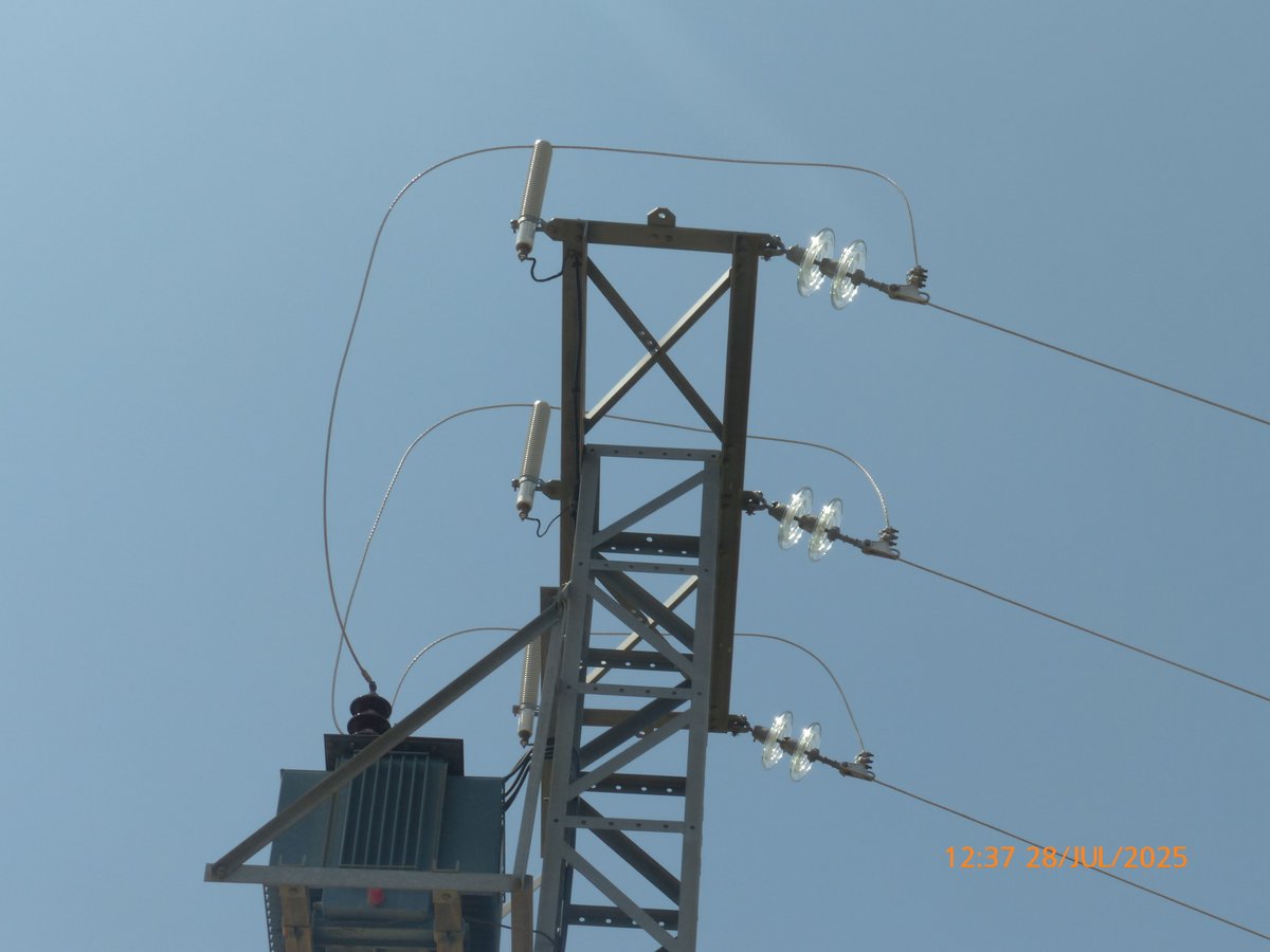 AGENTES APAMCV (@apamcv) on Twitter photo Restos de un Buitre leonado muerto, con claros indicios de electrocución. Si la torre y los cables no cumplen con la normativa, el peligro para las aves es mucho mayor. Los AA MM levantamos acta, se analizan los restos, denuncia al propietario de la línea.....
<a href="/GVAMediAmbient/">GVA Medi Ambient Infraestructures Territori</a> Restos de un Buitre leonado muerto, con claros indicios de electrocución. Si la torre y los cables no cumplen con la normativa, el peligro para las aves es mucho mayor. Los AA MM levantamos acta, se analizan los restos, denuncia al propietario de la línea.....
<a href="/GVAMediAmbient/">GVA Medi Ambient Infraestructures Territori</a>
