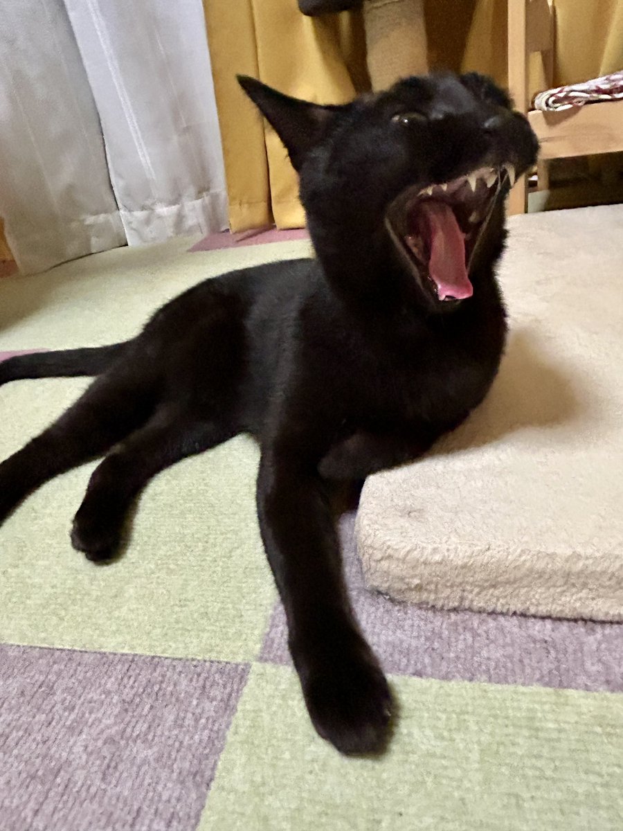 そこか！！