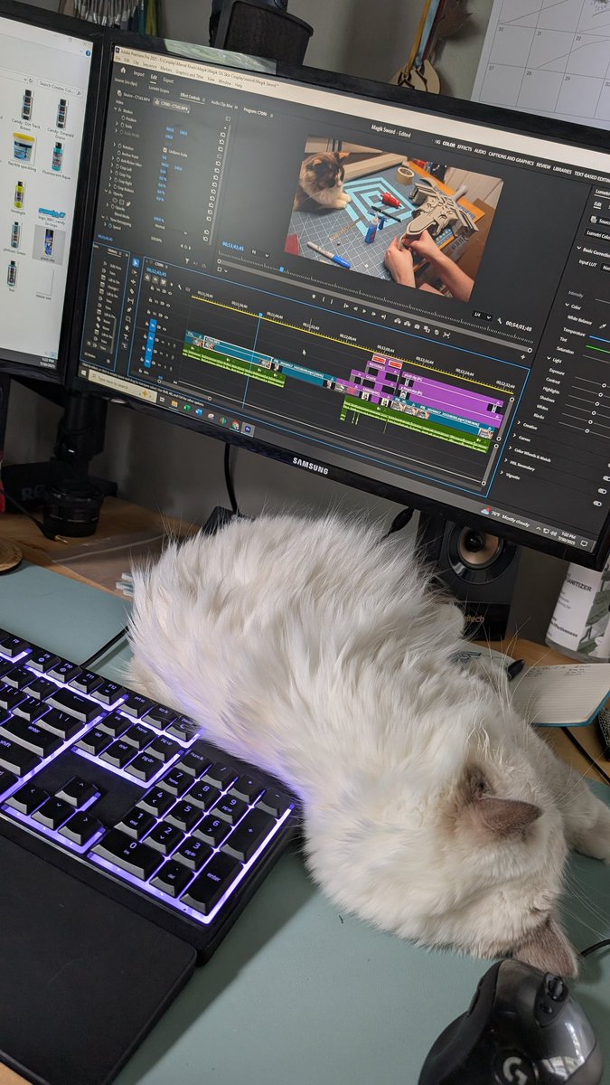 Working on another tutorial for Magik today with the help of a sleepy Yuki!