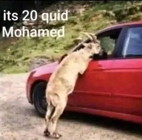🤣🤣
Sorry, is it wrong that I laughed?