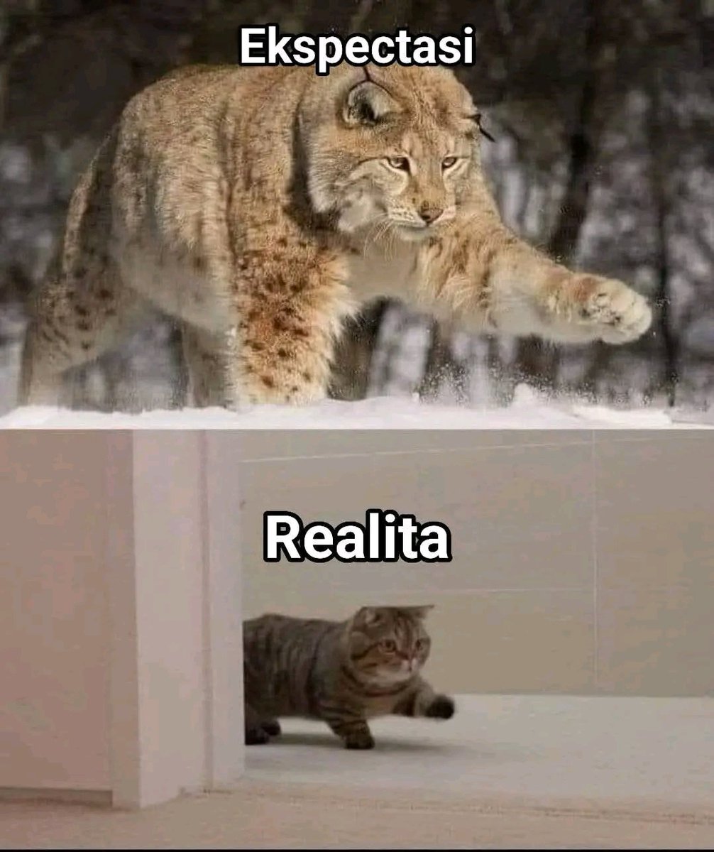 Follow those who follow you
grow together, respect for small accounts, let's fight together 

<a href="/wardenprotocol/">Warden</a> 

get your chance