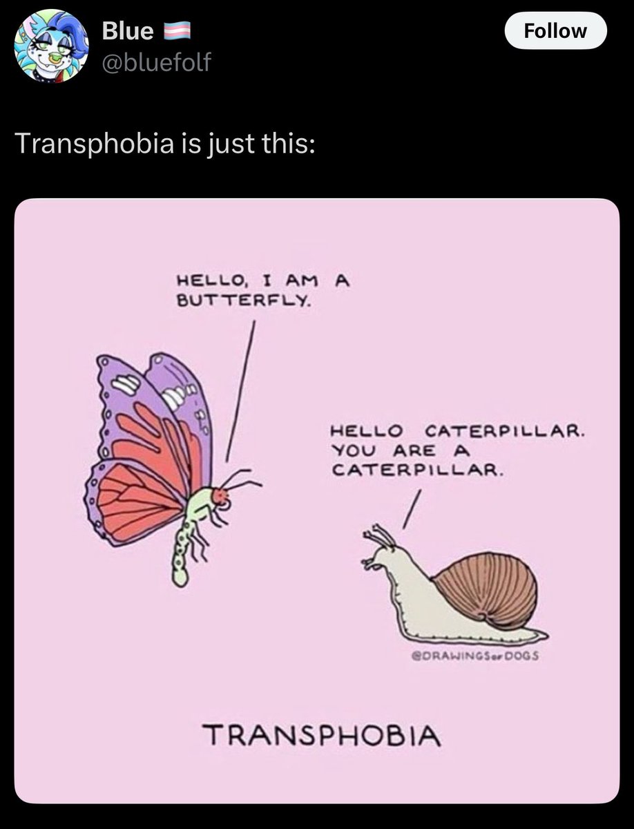 Gender critical is just this:

🐌 : hello butterfly, I’m a butterfly as well.
🦋 : no, snail, you are a snail.
🐌 : I am a butterfly
🦋 : you’ve got a shell
🐌 : it’s a butterfly shell.
🦋: and no wings
🐌 : stop genociding me.