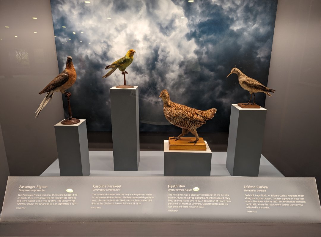 Never forget what they took from us