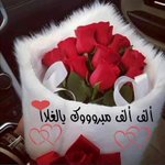 Photo by سلمان الحربي🇸🇦 (@v2Q__)